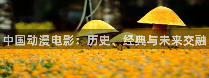 动漫天堂快速更新:中国动漫电影:历史、经典与未来交融配图