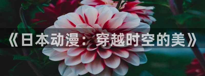 动漫天堂首页：《日本动漫：穿越时空的美》配图