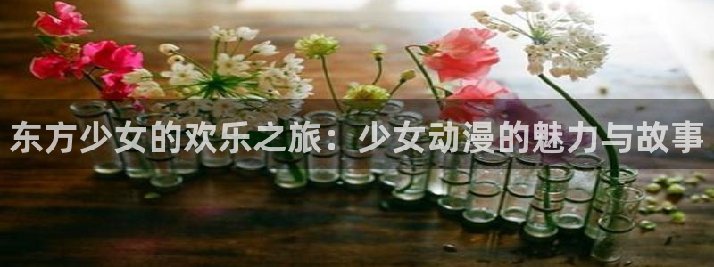 动漫天堂完结排行榜：东方少女的欢乐之旅：少女动漫的魅力与故事配图