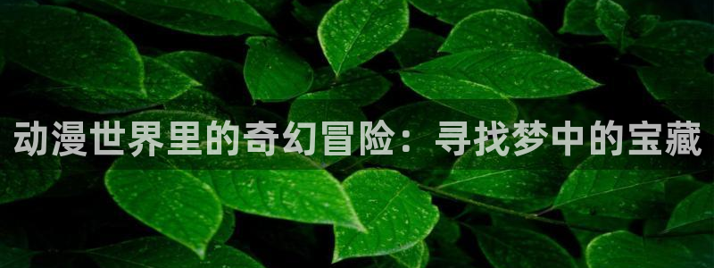 动漫天堂追番动漫：动漫世界里的奇幻冒险：寻找梦中的宝藏配图