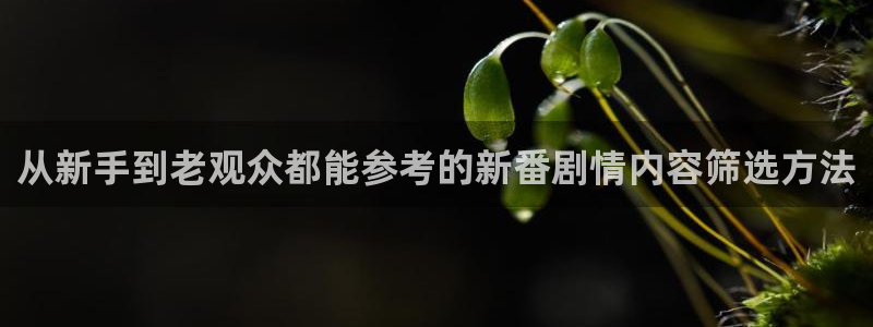 动漫天堂高清动漫推荐：从新手到老观众都能参考的新番剧情内容筛选方法配图