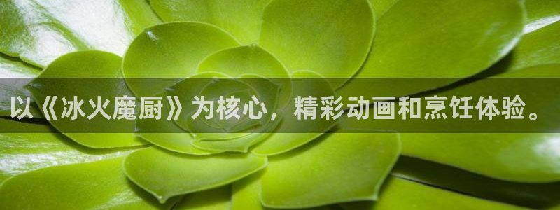 动漫天堂热门排行榜：以《冰火魔厨》为核心，精彩动画和烹饪体验。配图