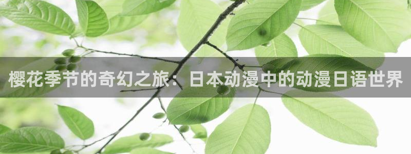 动漫天堂推理动漫推荐：樱花季节的奇幻之旅：日本动漫中的动漫日语世界配图