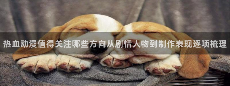动漫天堂动画片推荐:热血动漫值得关注哪些方向从剧情人物到制作表现逐项梳理配图