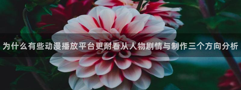 动漫天堂连载排行：为什么有些动漫播放平台更耐看从人物剧情与制作三个方向分析配图