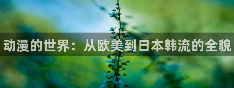 动漫天堂连载：动漫的世界：从欧美到日本韩流的全貌配图