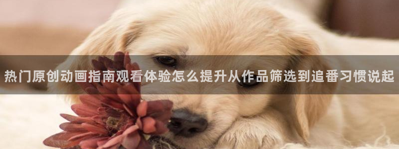 动漫天堂高分排行：热门原创动画指南观看体验怎么提升从作品筛选到追番习惯说起配图