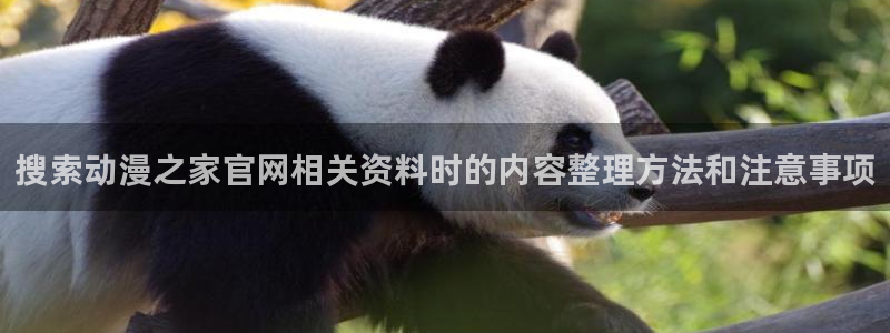 动漫天堂动漫全集在线观看:搜索动漫之家官网相关资料时的内容整理方法和注意事项配图