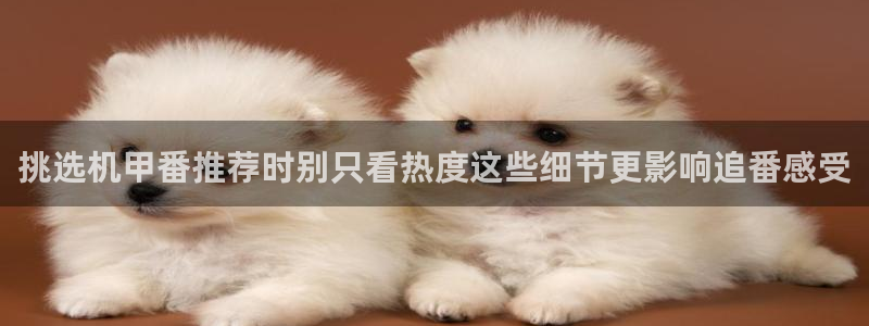 动漫天堂经典动漫：挑选机甲番推荐时别只看热度这些细节更影响追番感受配图