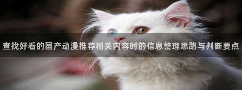 动漫天堂官网:查找好看的国产动漫推荐相关内容时的信息整理思路与判断要点配图