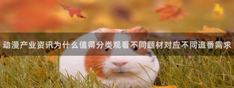 2026动漫天堂:动漫产业资讯为什么值得分类观看不同题材对应不同追番需求配图
