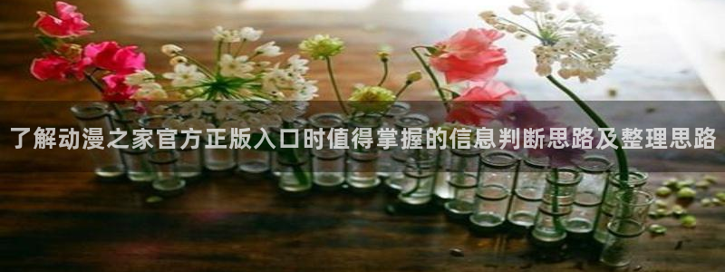 动漫天堂新番在线观看：了解动漫之家官方正版入口时值得掌握的信息判断思路及整理思路配图