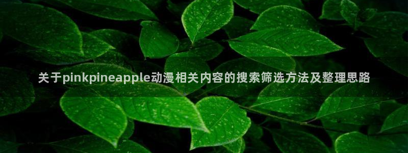 动漫天堂动漫列表：关于pinkpineapple动漫相关内容的搜索筛选方法及整理思路配图